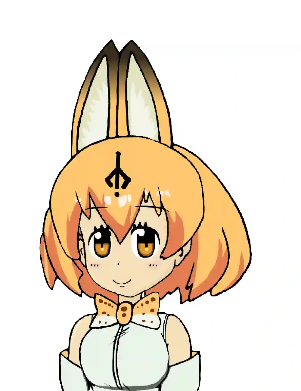 手ブレ補正 サーバル