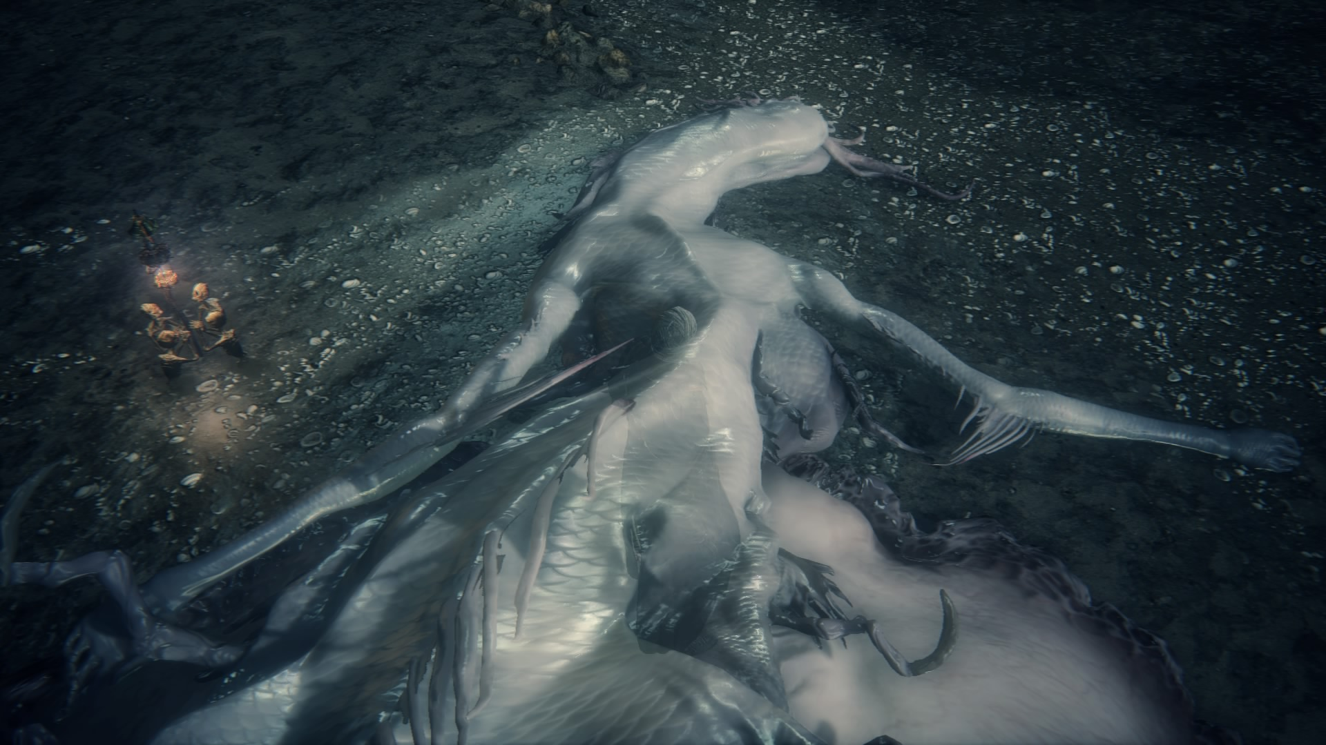ゴースの遺体 2