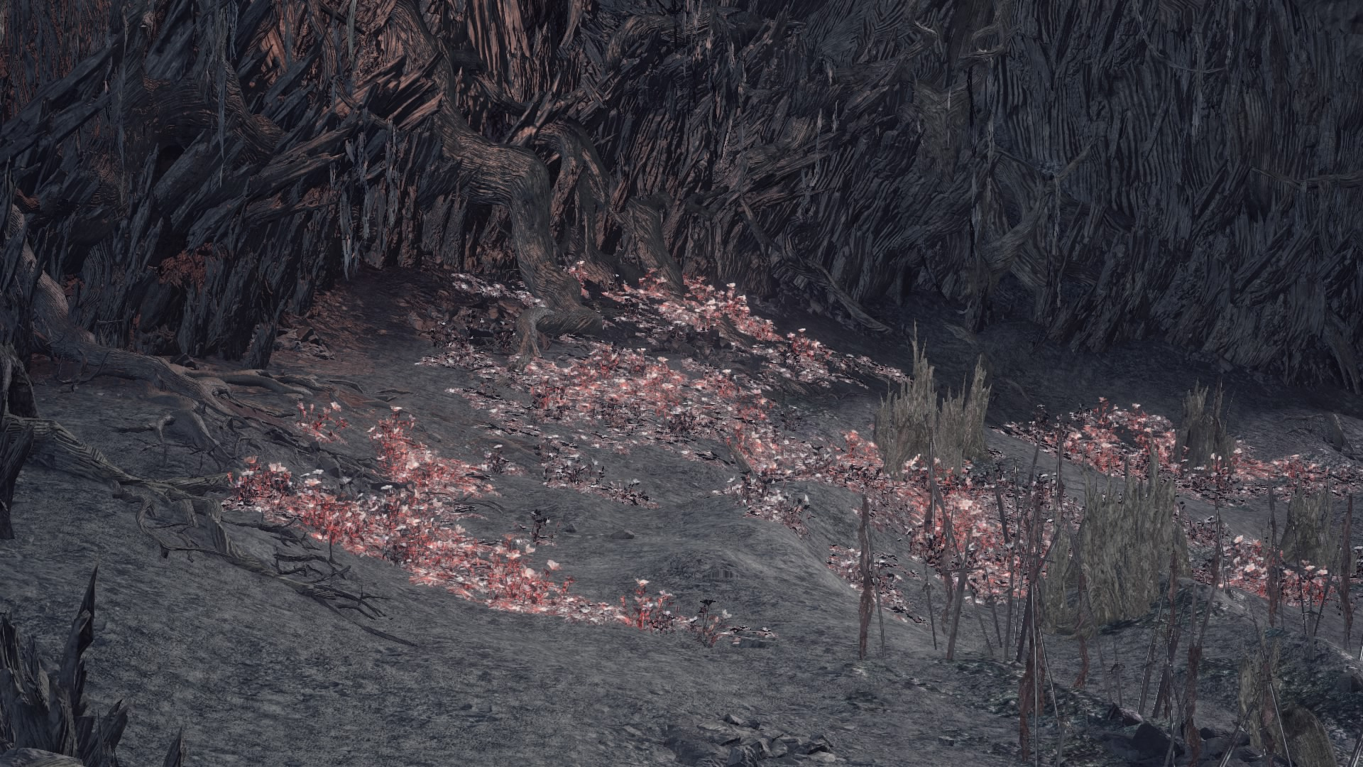 火の炉