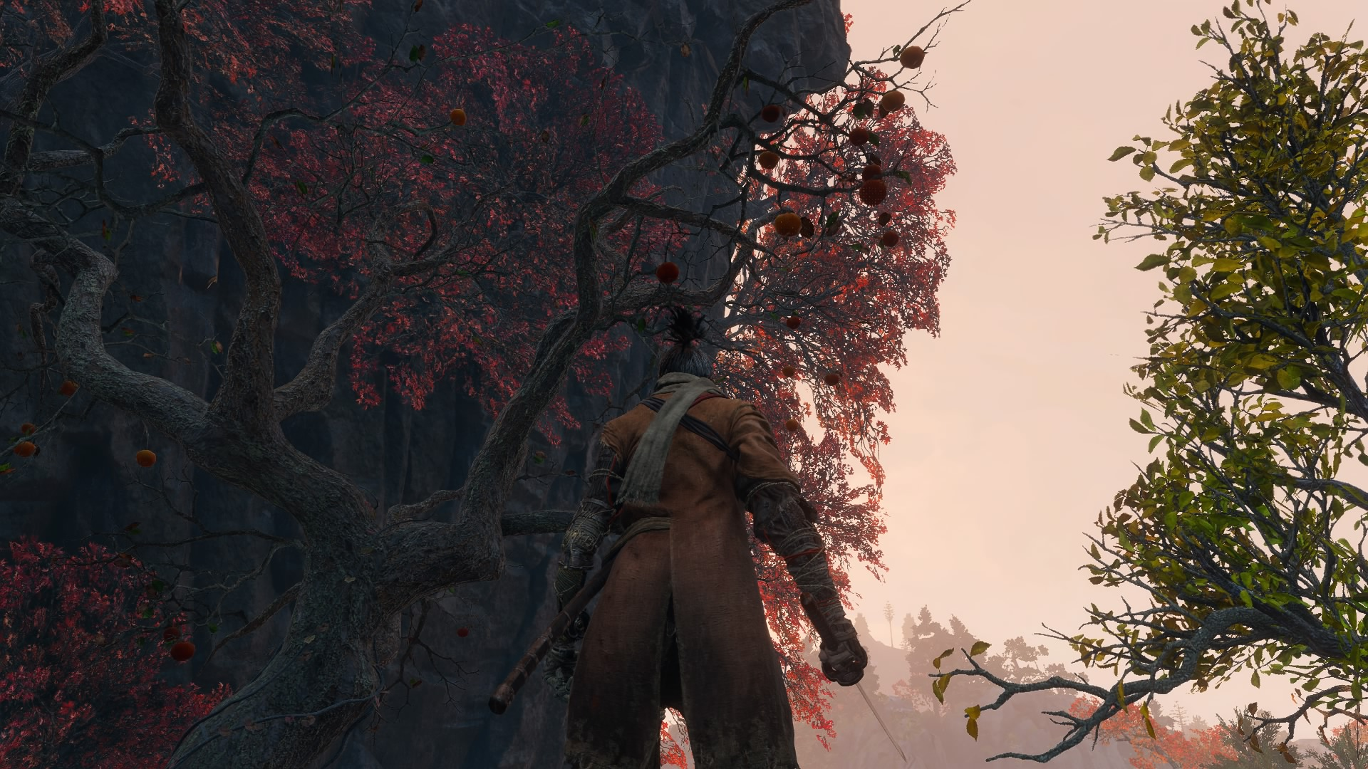 紅葉