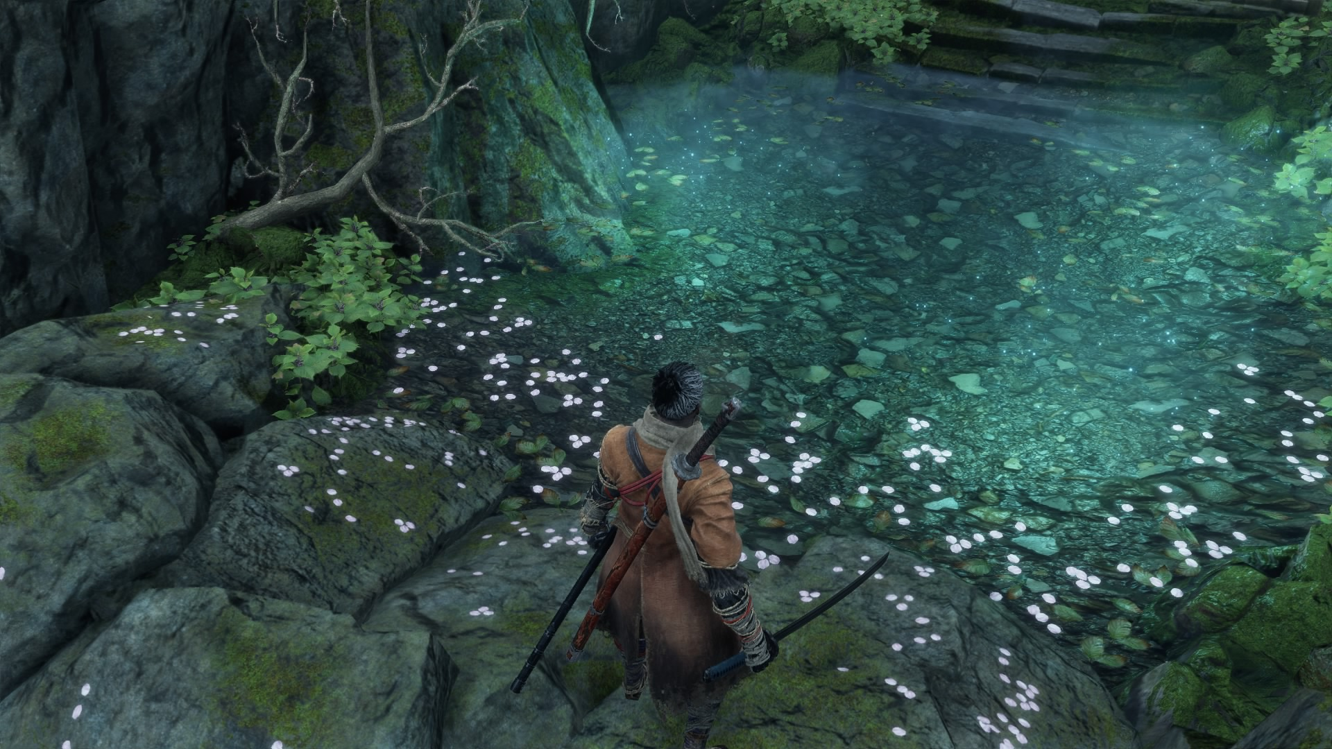 源の水
